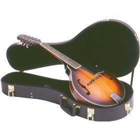 mandolin in case